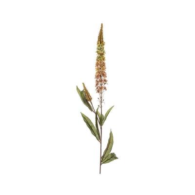 Fawn Veronica (Single)